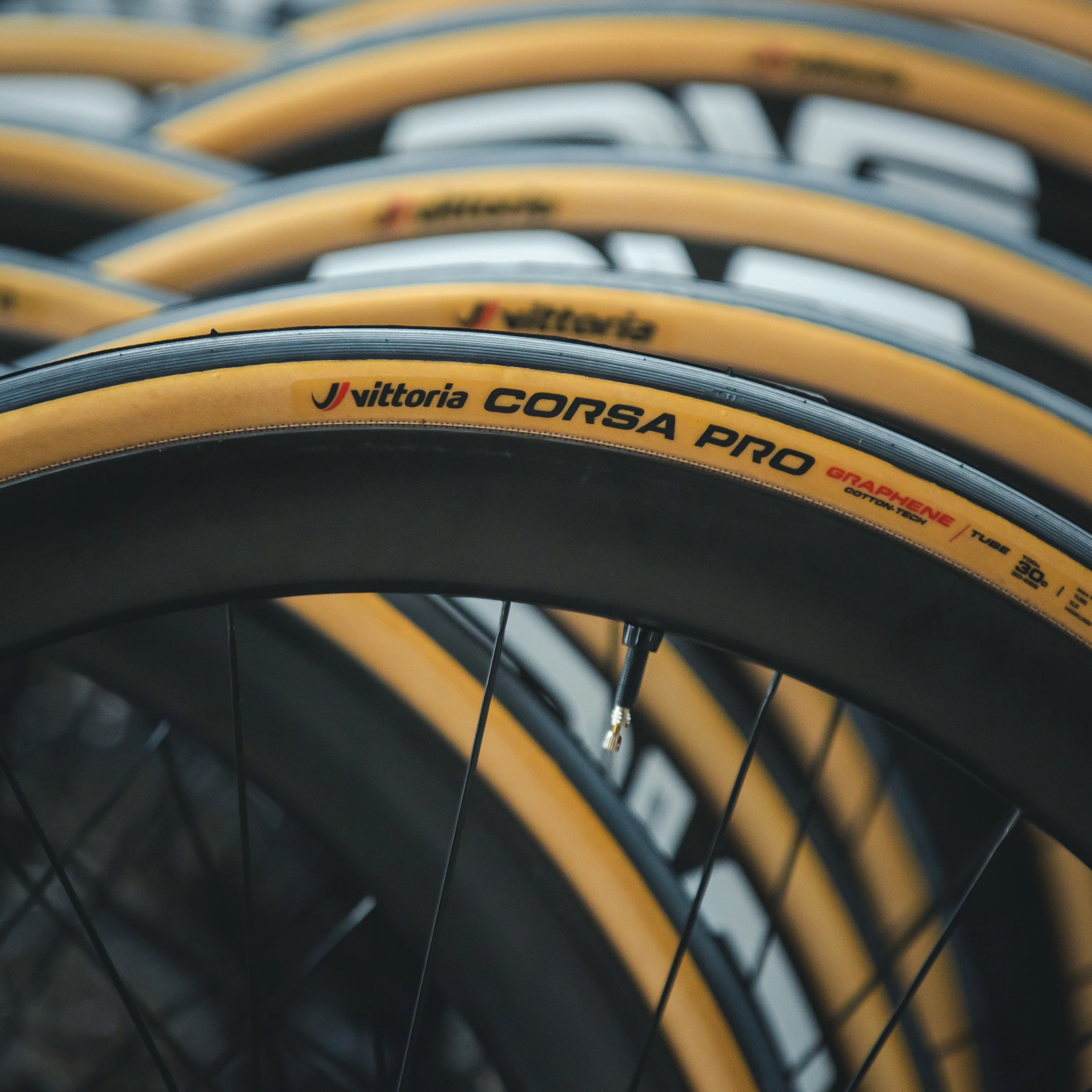 Corsa PRO + Latex Inner Tube - Image 6