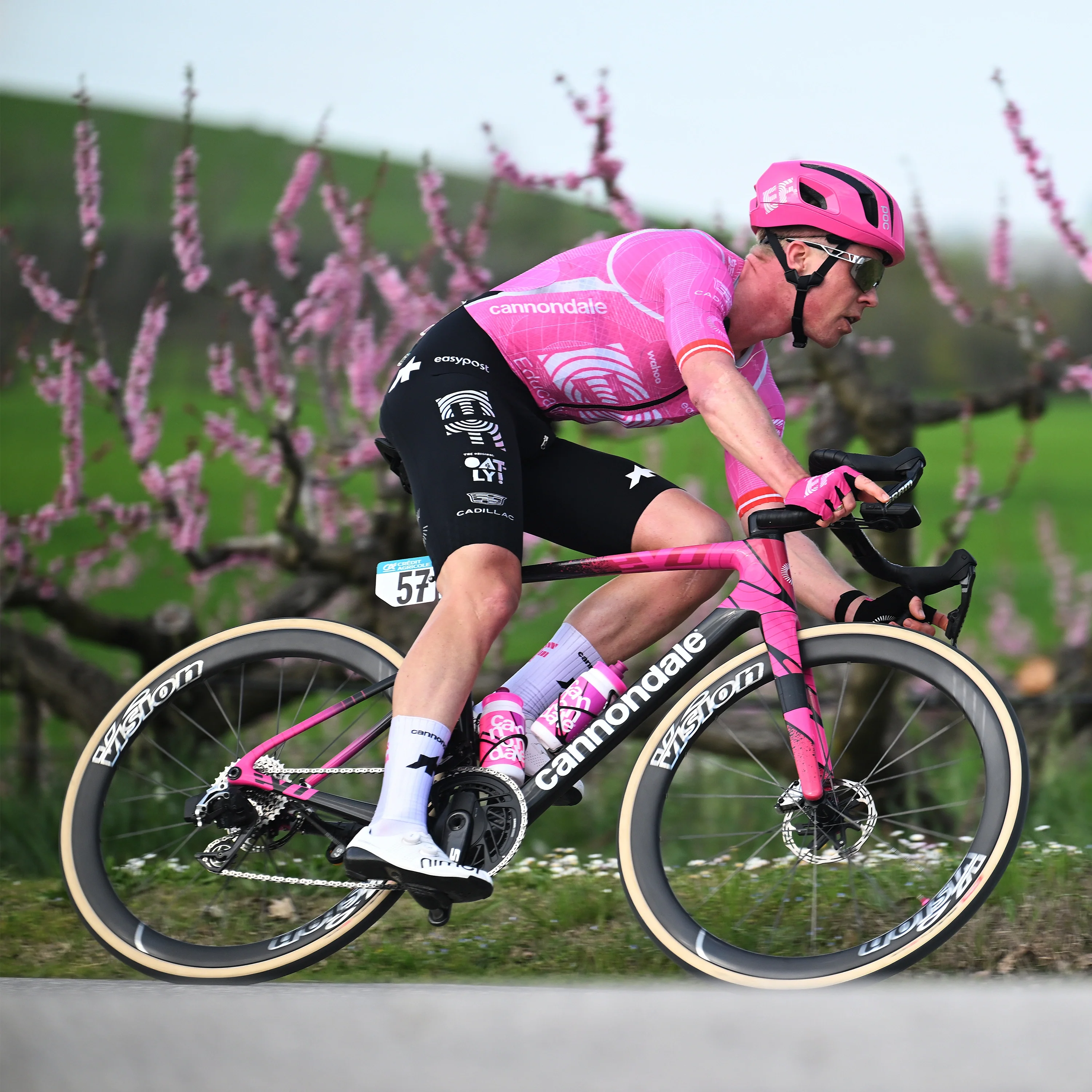 Corsa PRO Tubeless-Ready - Image 6